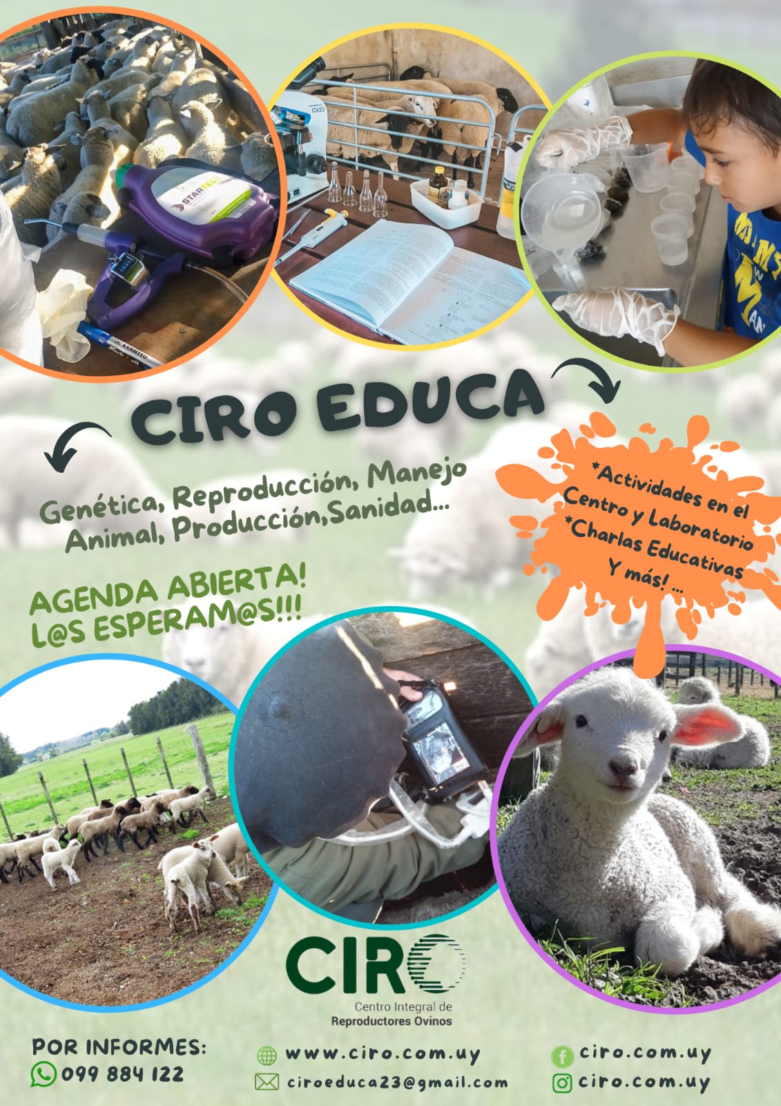 CIRO CIRO Educa