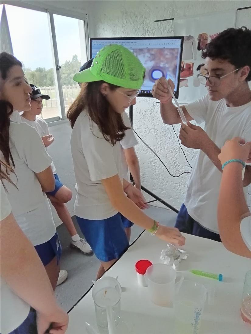 Actividad de laboratorio con muestras